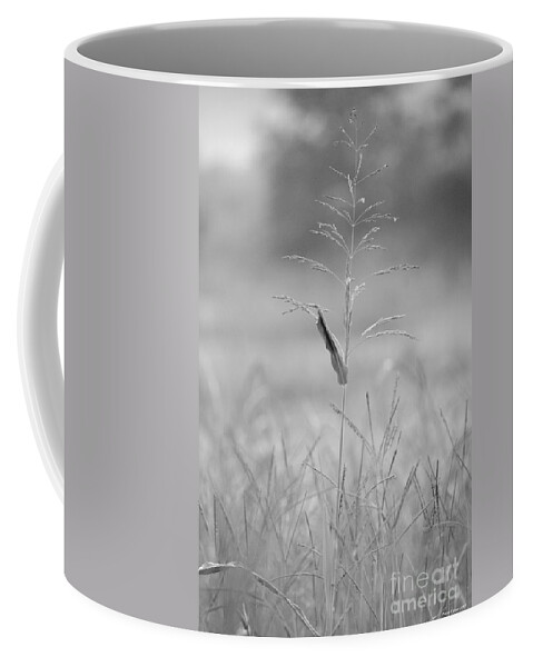 One Coffee Mug featuring the photograph One Tall Blade of Grass on a Foggy Morn - BW by Maria Urso