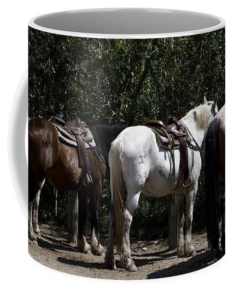 Trail Horses Coffee Mug featuring the photograph One White Trail Horse by Lorraine Devon Wilke