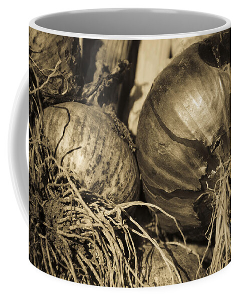 Onion Coffee Mug featuring the photograph Onion and Garlic Sepia by Jim And Emily Bush