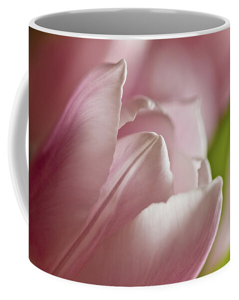 Clare Bambers Coffee Mug featuring the photograph Opening to the light by Clare Bambers