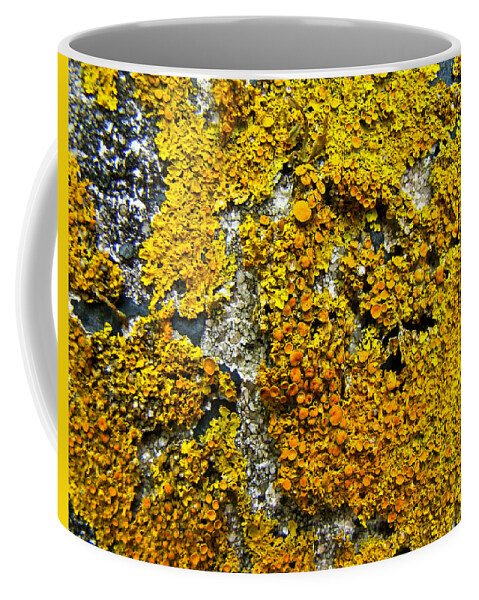 Lichen Coffee Mug featuring the photograph Orange Lichen - Xanthoria parietina by Carol Senske