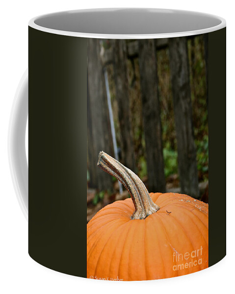 Outdoors Coffee Mug featuring the photograph Orange Top by Susan Herber