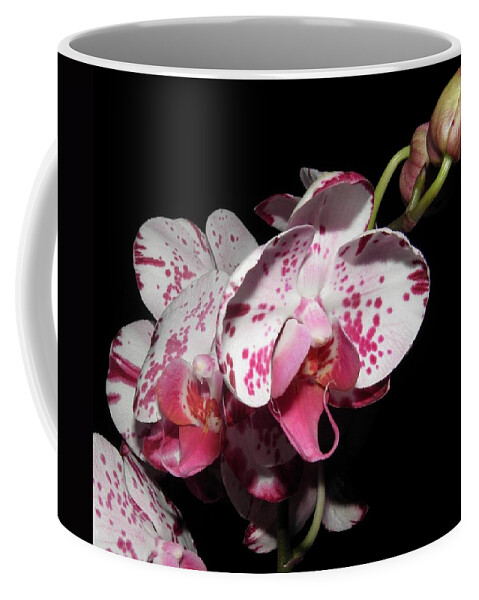 Orchid Coffee Mug featuring the photograph Orchid beauties by Kim Galluzzo
