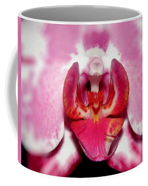 Orchid Coffee Mug featuring the photograph Orchid Glow by Kim Galluzzo