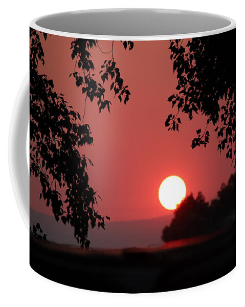 Sunset Coffee Mug featuring the photograph Oregon Sunset by Jo Sheehan