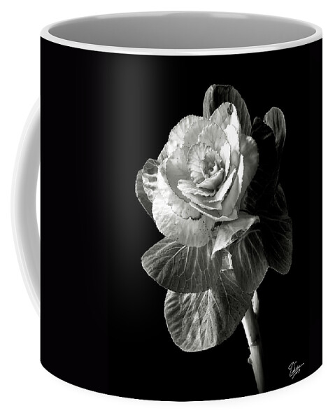 Flower Coffee Mug featuring the photograph Ornamental Kale in Black and White by Endre Balogh