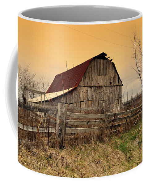 Barns Coffee Mug featuring the photograph Ozark Barn 1 by Marty Koch
