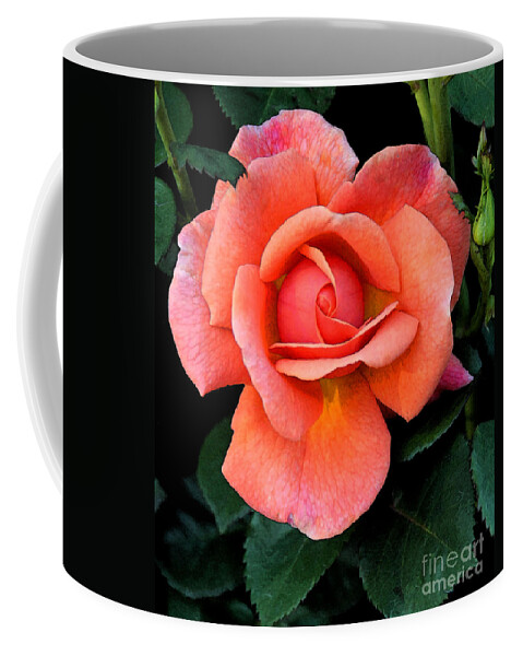 Flora Coffee Mug featuring the photograph Painted Rose by Cindy Manero