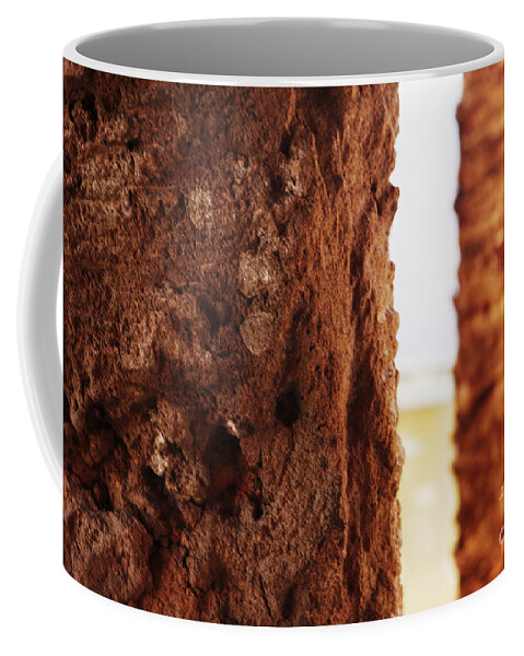 Palmera Coffee Mug featuring the photograph Palm and wall 2 by Agusti Pardo Rossello