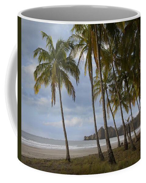 00429554 Coffee Mug featuring the photograph Palm Trees Line Carillo Beach Costa Rica by Tim Fitzharris