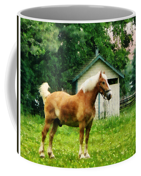 Horse Coffee Mug featuring the photograph Palomino in Pasture by Susan Savad