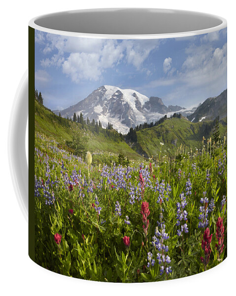 00437809 Coffee Mug featuring the photograph Paradise Meadow And Mount Rainier Mount by Tim Fitzharris