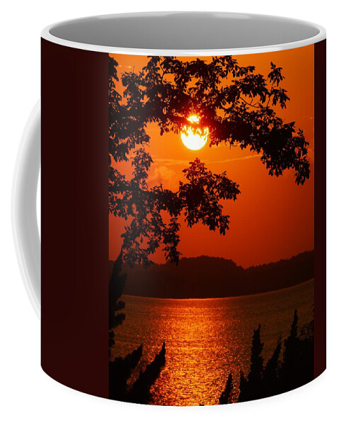 Autumn Coffee Mug featuring the photograph Paradise by Billy Beck