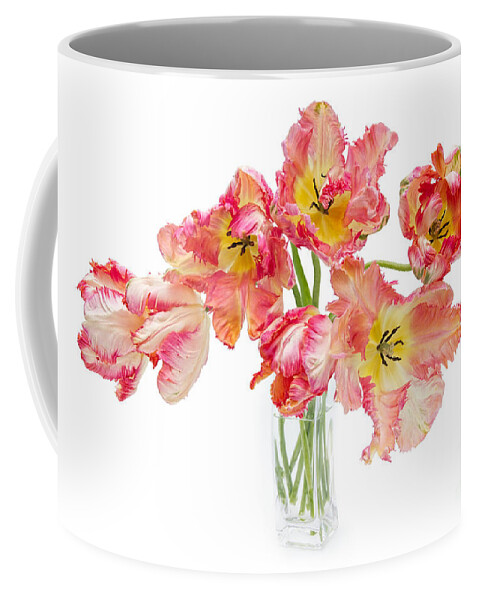 Tulip Coffee Mug featuring the photograph Parrot Tulips in a Glass Vase by Ann Garrett