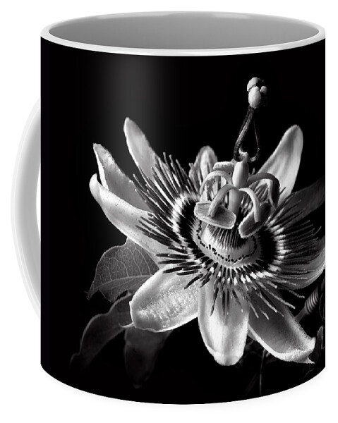 Flower Coffee Mug featuring the photograph Passion Flower in Black and White by Endre Balogh
