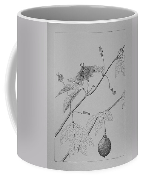 Passionflower Coffee Mug featuring the drawing Passionflower Vine by Daniel Reed