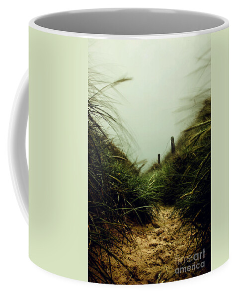 Seascape Coffee Mug featuring the photograph Path Through The Dunes by Hannes Cmarits