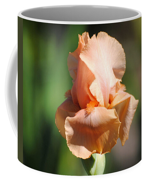 Beautiful Iris Coffee Mug featuring the photograph Peach Iris Flower II by Jai Johnson