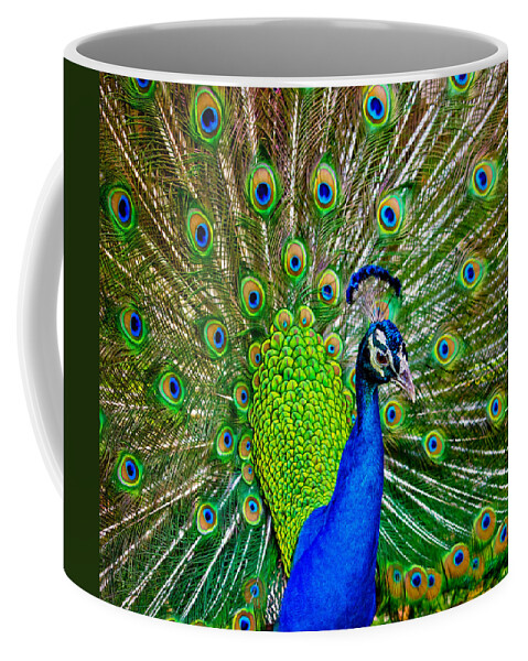 Peacock Coffee Mug featuring the photograph Peacock Display by Mark Andrew Thomas