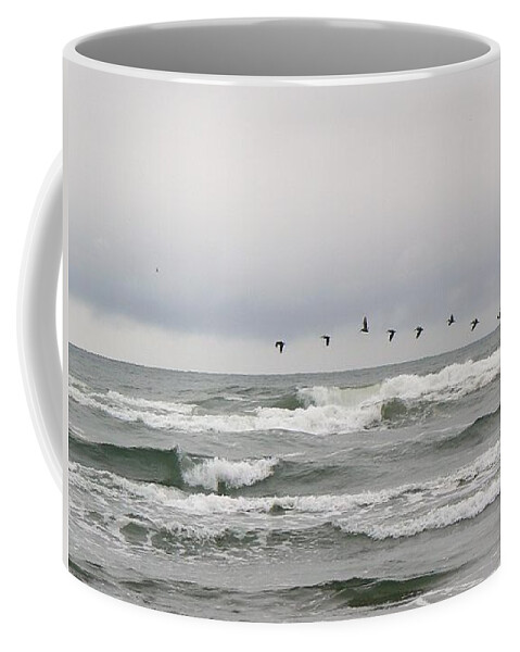 Birds Coffee Mug featuring the photograph Pelicans On Parade by Pamela Patch