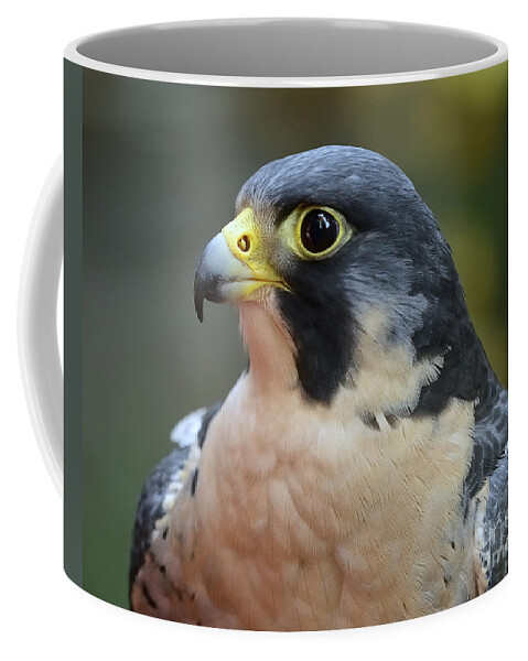 Peregrine Falcon Coffee Mug featuring the photograph Peregrine Falcon by Craig Leaper