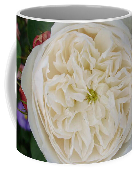 Roses Coffee Mug featuring the photograph Perfect Symmetry by Anjel B Hartwell