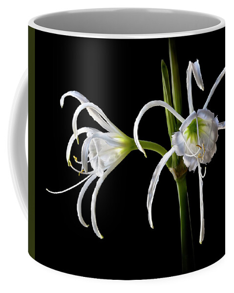 Flower Coffee Mug featuring the photograph Peruvian Daffodils by Endre Balogh