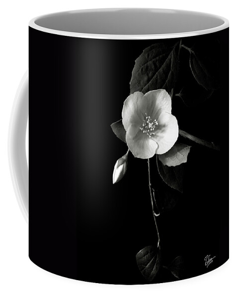 Flower Coffee Mug featuring the photograph Philadelphus in Black and White by Endre Balogh