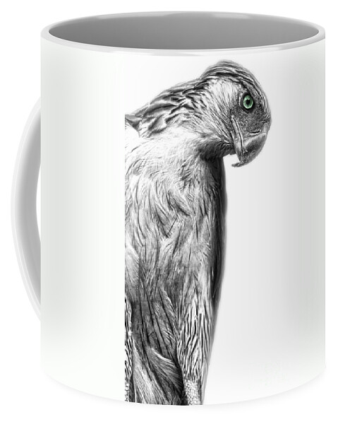 Yhun Suarez Coffee Mug featuring the photograph Philippine Eagle by Yhun Suarez