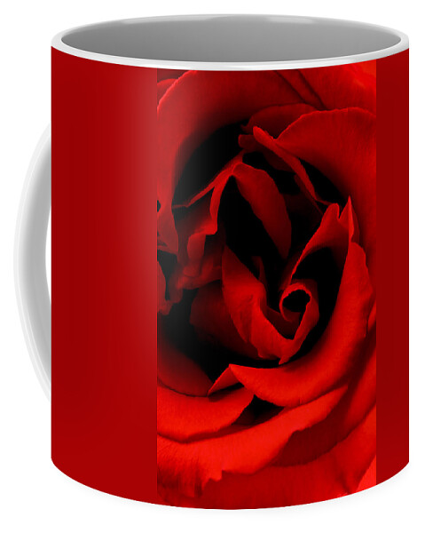 Perla Copernik Coffee Mug featuring the photograph Photograph of a Red Rose by Perla Copernik