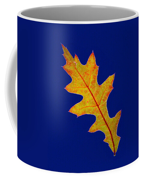 Leaf Coffee Mug featuring the photograph Pin Oak leaf by Jean Noren