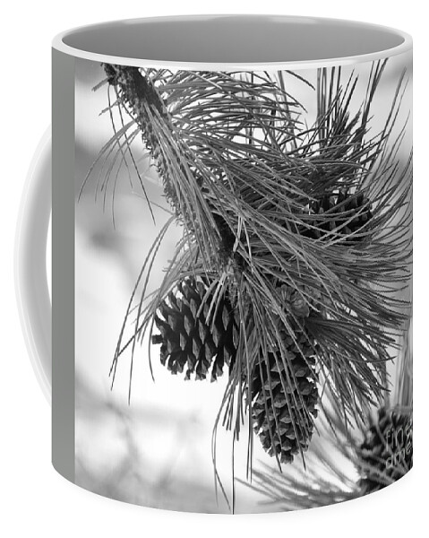 Pine Cones Coffee Mug featuring the photograph Pine Cones by Dorrene BrownButterfield