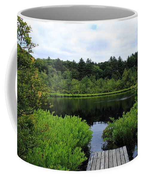 Ward Reservation Coffee Mug featuring the photograph Pine Hole Pond by Jeff Heimlich