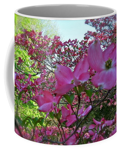 Pink Dogwood Tree Coffee Mug featuring the photograph Pink Dogwood by Nancy Patterson
