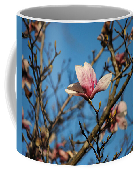 Flower Coffee Mug featuring the photograph Pink Magnolia Flower by Jai Johnson