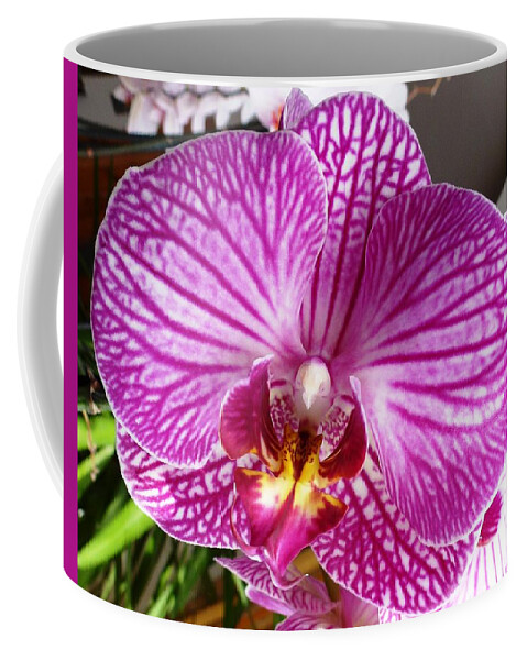 Orchid Coffee Mug featuring the photograph Pink Orchid by Amalia Suruceanu