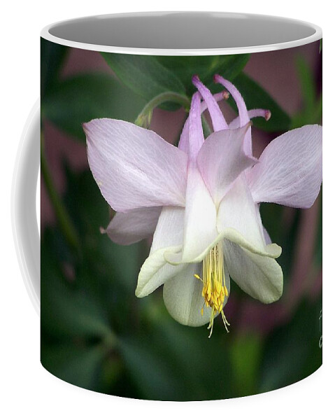 Columbine Coffee Mug featuring the photograph Pink Perfection by Dorrene BrownButterfield