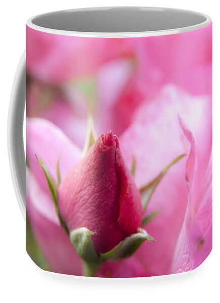Pink Coffee Mug featuring the photograph Pink Rose by Jeannette Hunt