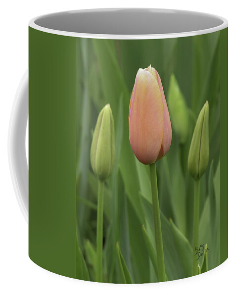 Buds Coffee Mug featuring the photograph Pink Tulip with Buds by Betty Denise