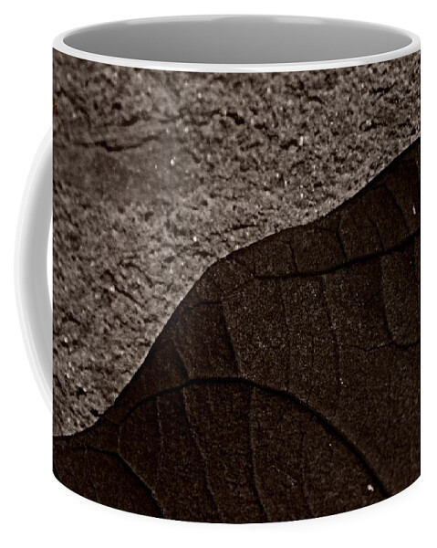 Nature Coffee Mug featuring the photograph Plant and Mineral by Chris Berry