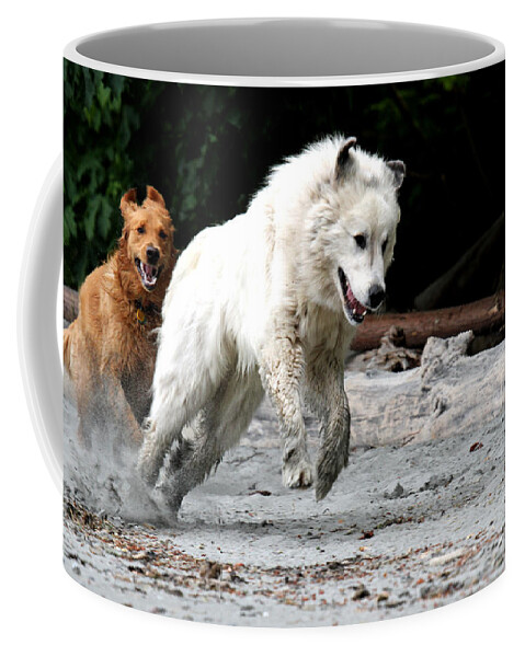 Dogs Coffee Mug featuring the photograph Play Time On the Beach by Marie Jamieson