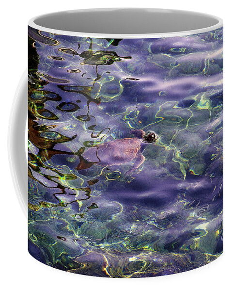 Sea Turtle Coffee Mug featuring the photograph playing at Crete by Casper Cammeraat