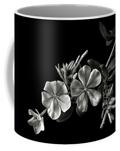 Flower Coffee Mug featuring the photograph Plumbago in Black and White by Endre Balogh