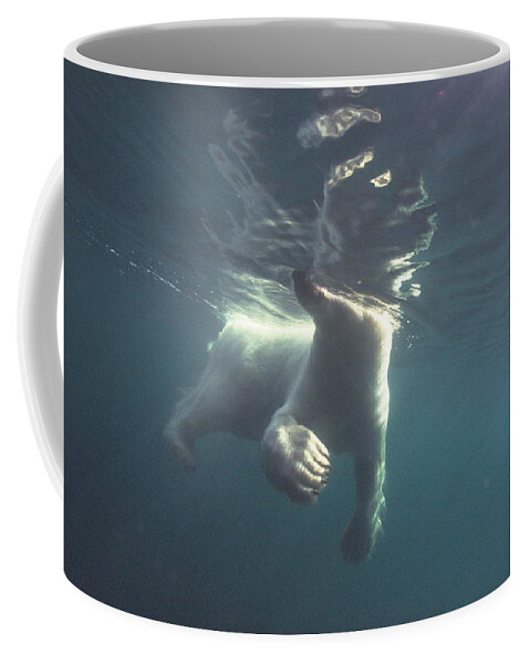 00125874 Coffee Mug featuring the photograph Polar Bear Swimming Wager Bay Canada by Flip Nicklin
