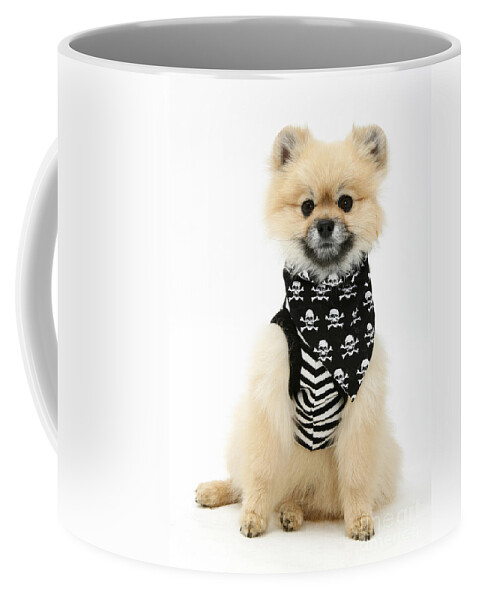 Animal Coffee Mug featuring the Pomeranian Pirate by Mark Taylor