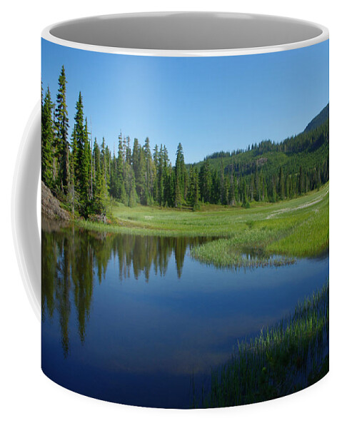 Pond Coffee Mug featuring the photograph Pond Reflection by Marilyn Wilson