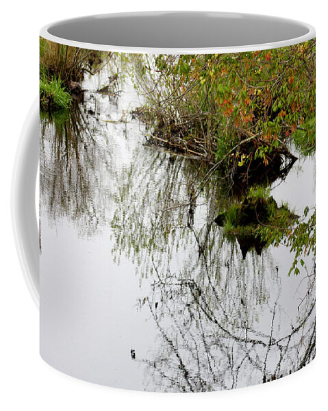 Color Photography Coffee Mug featuring the photograph Pondscape by Kim Galluzzo Wozniak