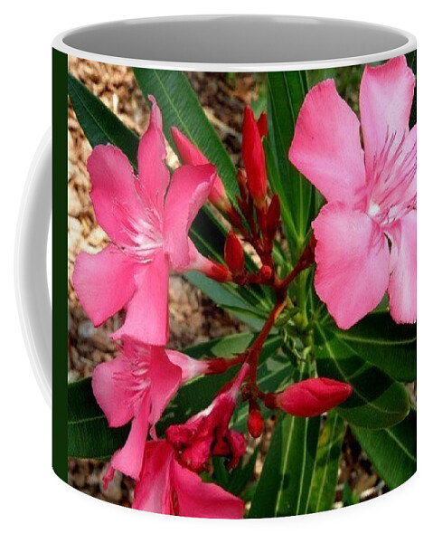 Pink Coffee Mug featuring the photograph Popping Pink by Kim Galluzzo Wozniak