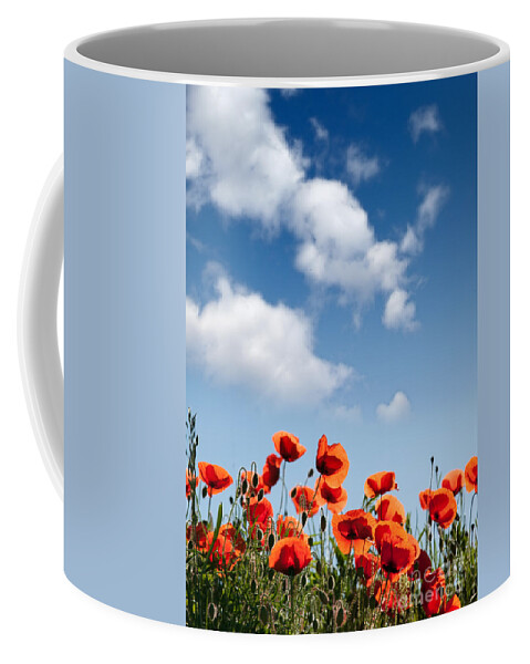 Poppy Coffee Mug featuring the photograph Poppy Flowers 04 by Nailia Schwarz