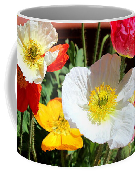 Garden Coffee Mug featuring the photograph Poppy Galore by M Diane Bonaparte